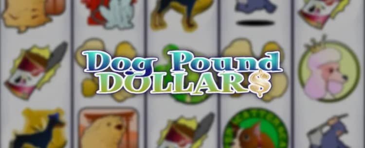 Dog Pound Dollars